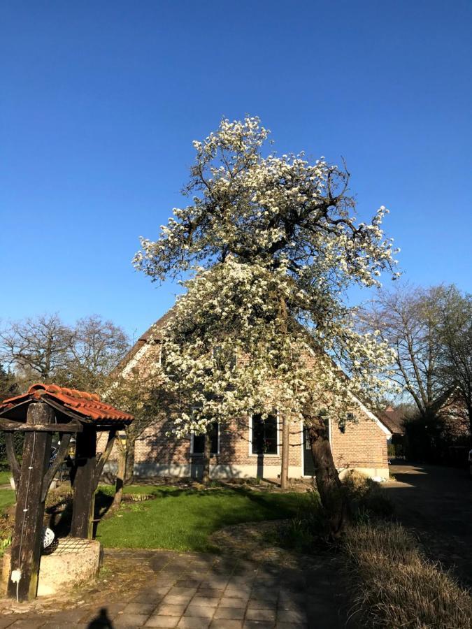 Villa In De Tuin In Gees Exterior foto